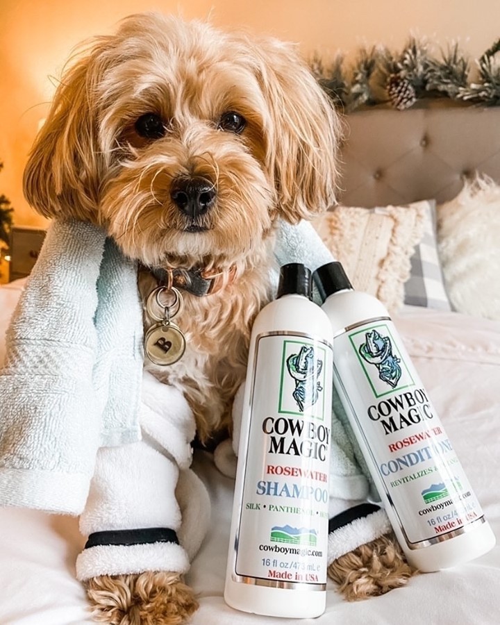 Rosenwasser Shampoo & Conditioner Set (946 ml pro Flasche l) - Für alle Haartypen / Feuchtigkeitsspendende Fellpflege für Hunde