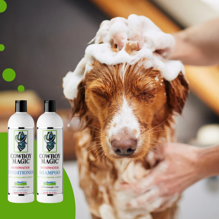Rosenwasser Shampoo & Conditioner Set (946 ml pro Flasche l) - Für alle Haartypen / Feuchtigkeitsspendende Fellpflege für Hunde
