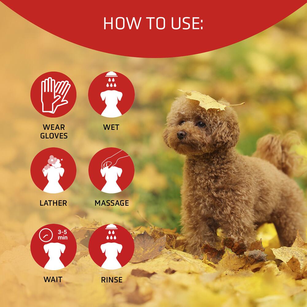 ARTERO® Farbauffrischendes Hundeshampoo "SCARLET" für rot-braune Fellfarben