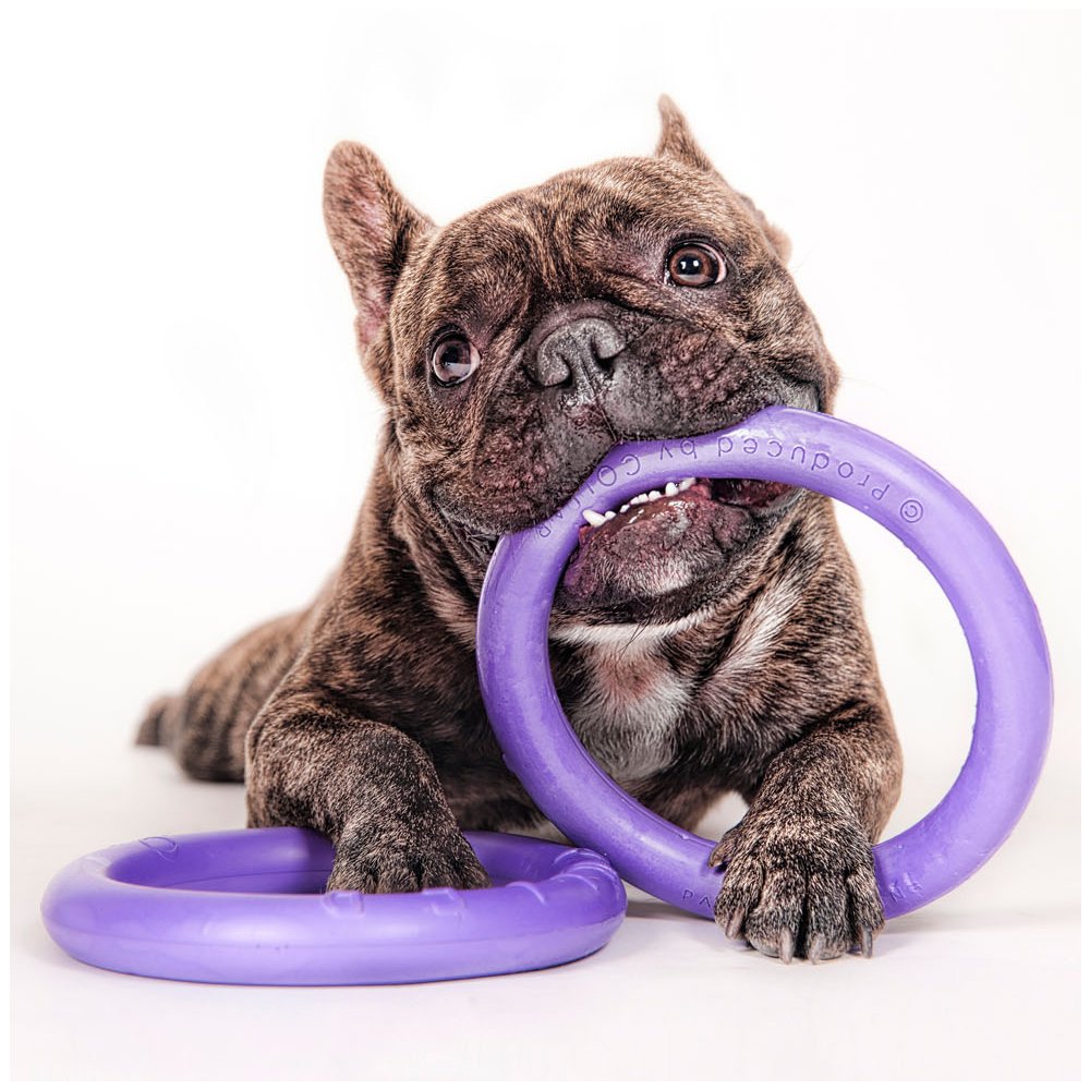 Dog Puller Micro 12,5cm 2St. -Trainingsspielzeug