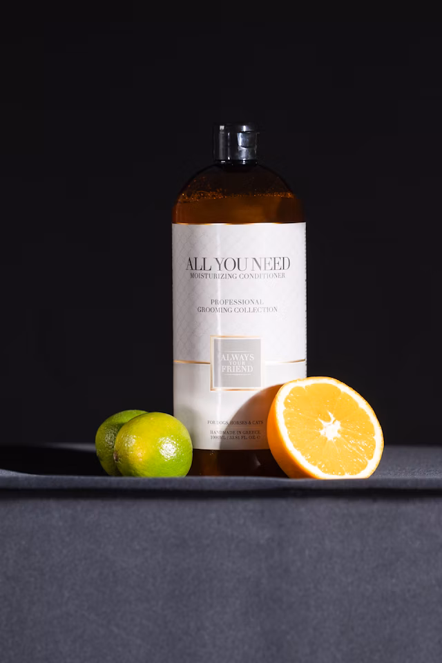 ALWAYS All You Need Conditioner – Tiefenpflege mit Feuchtigkeitsspender (Professional Line)