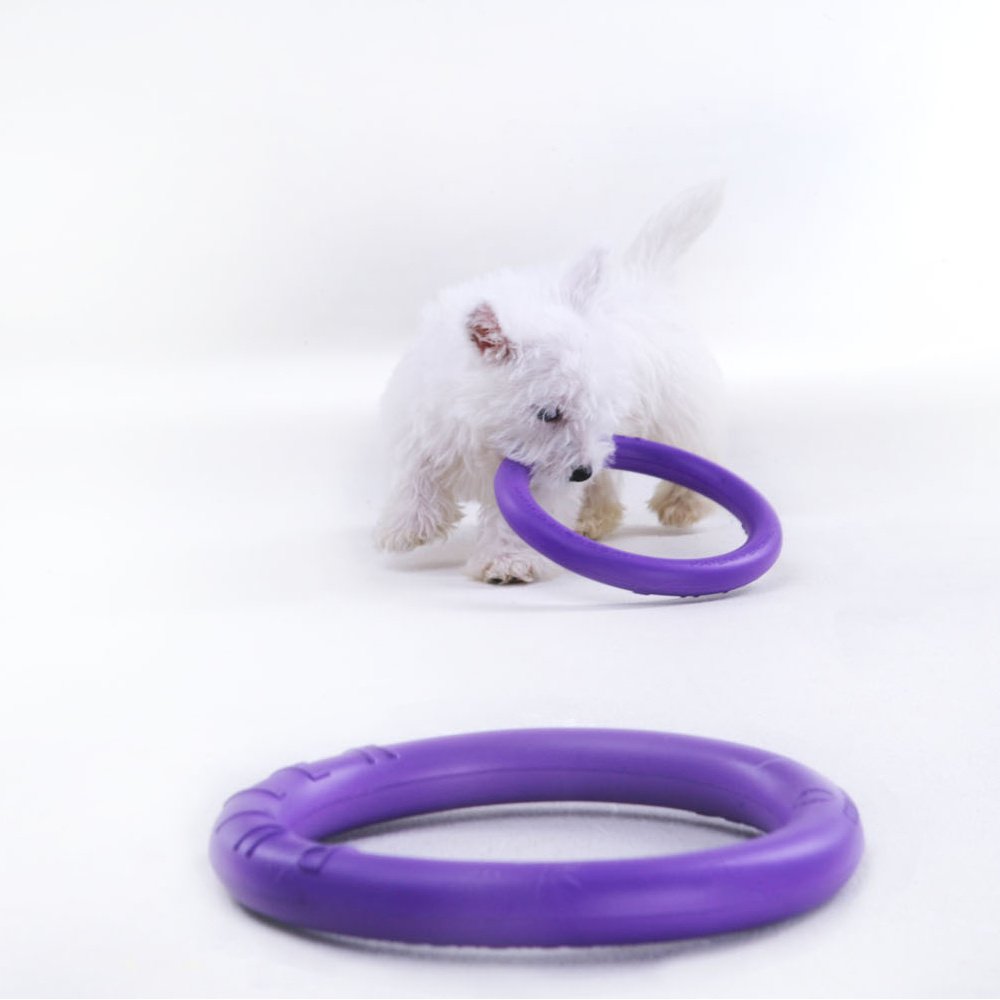 Dog Puller Micro 12,5cm 2St. -Trainingsspielzeug