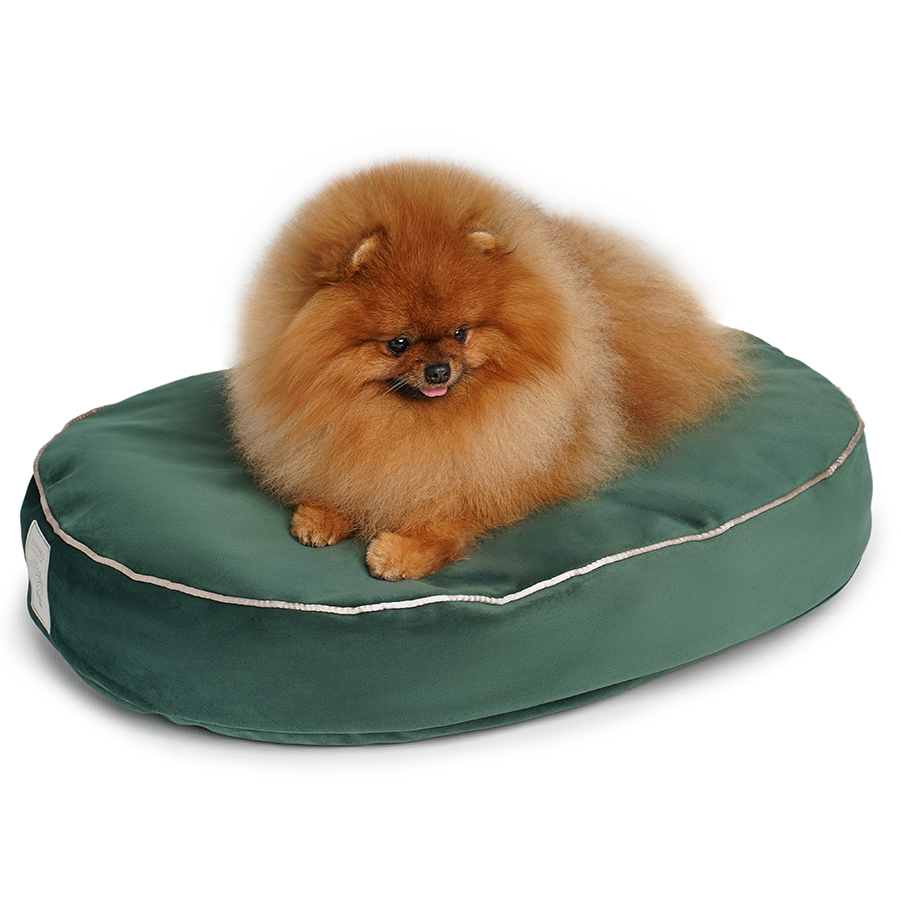 Starfire's Luxury Kissen oval in 5 Farben / 2 Größen