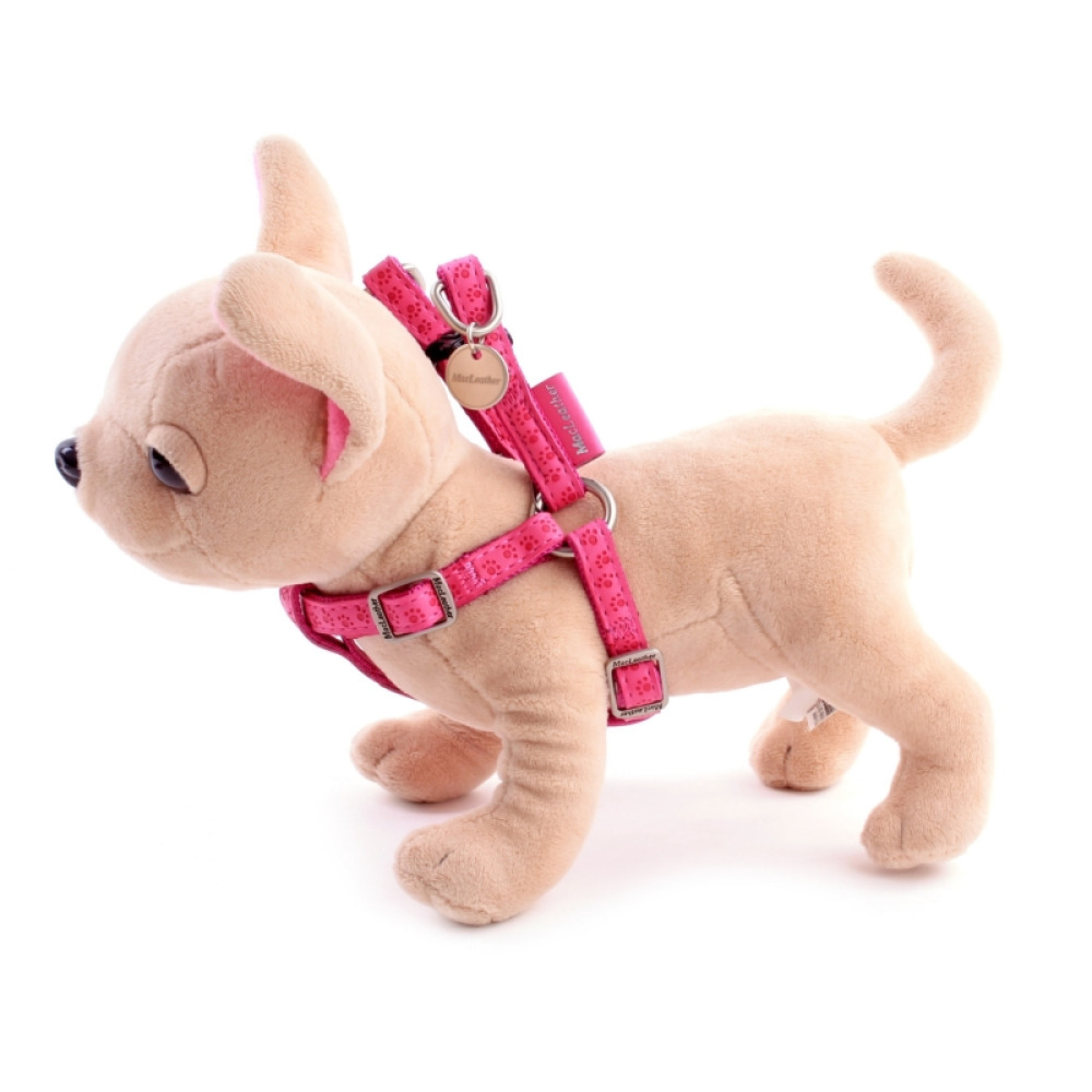 Hundegeschirr für kleine Hunde