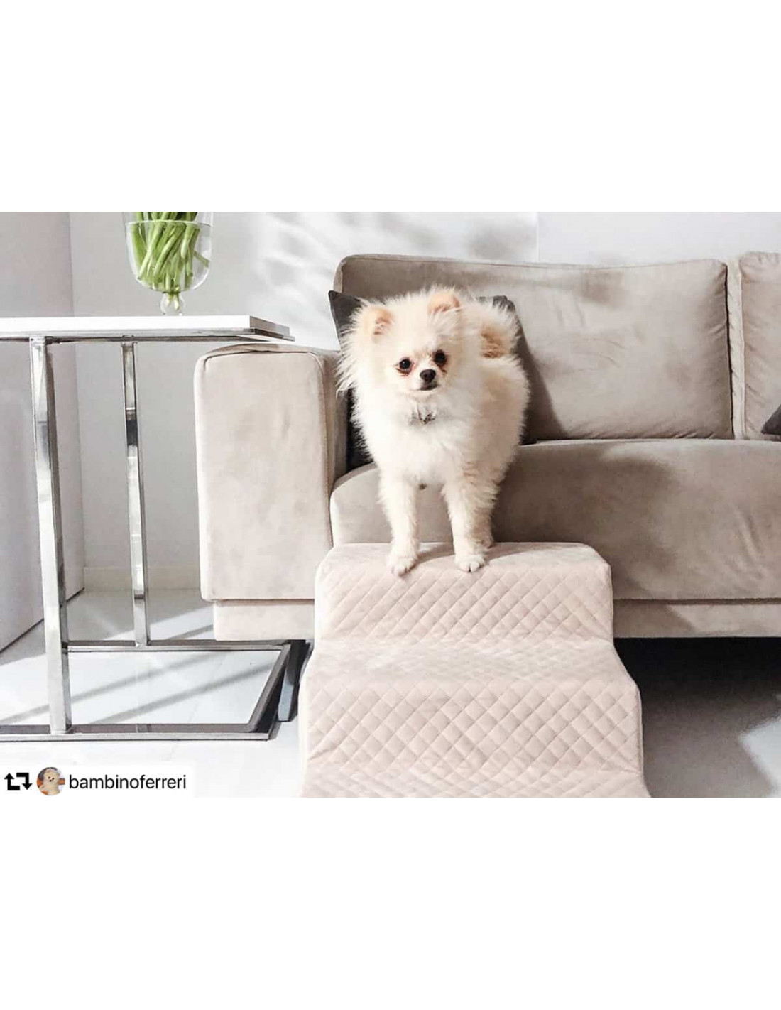 Hau Cute Hundetreppe ecru