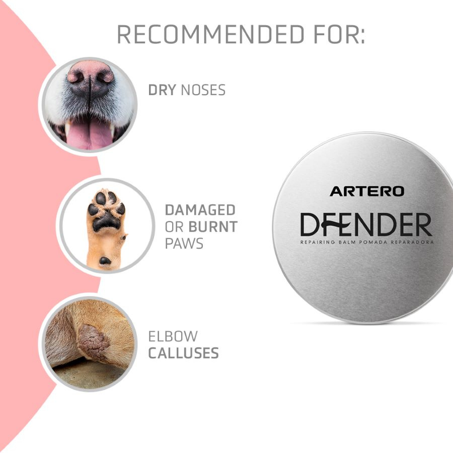 ARTERO® Pflegesalbe für Pfoten und Haut "Defender"