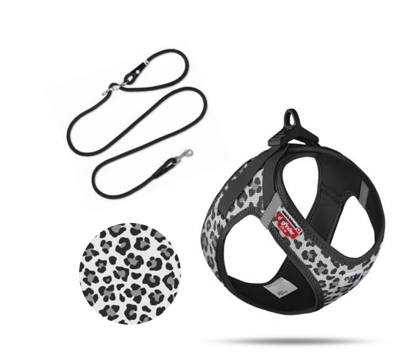 Curli Vest Harness Air-Mesh SE27 Leopard Schwarz+ Leine  / Vorbestellung /Lieferrung ca. ende April 2027