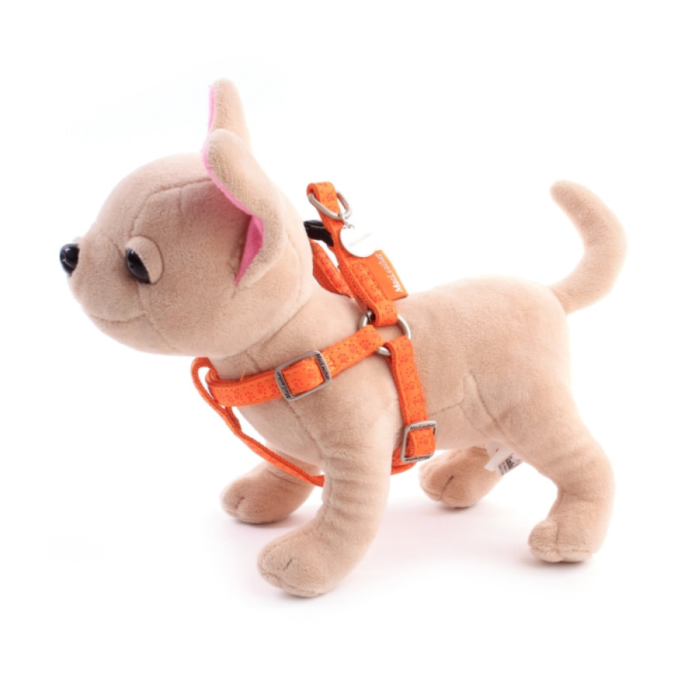 Hundegeschirr für kleine Hunde