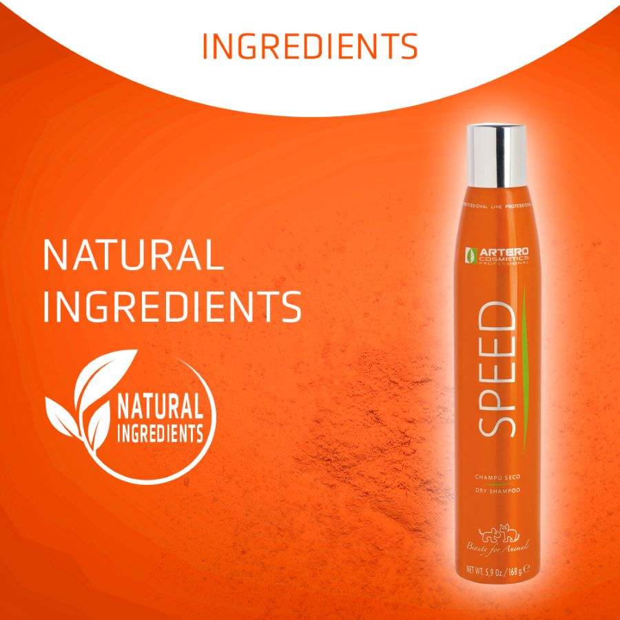 ARTERO® Trockenshampoo-Spray "SPEED" 300 ml