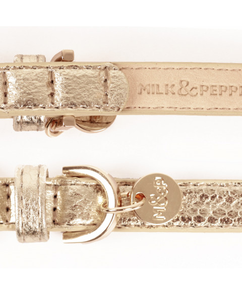 Stardust Halsband Python Gold 2 cm/35 cm