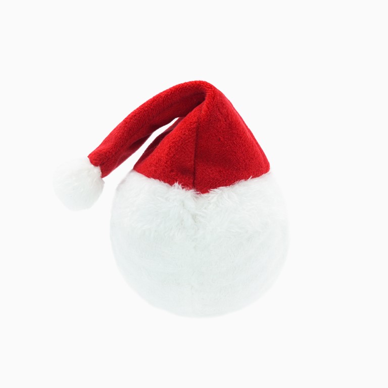 Happy Woofmas – Santa