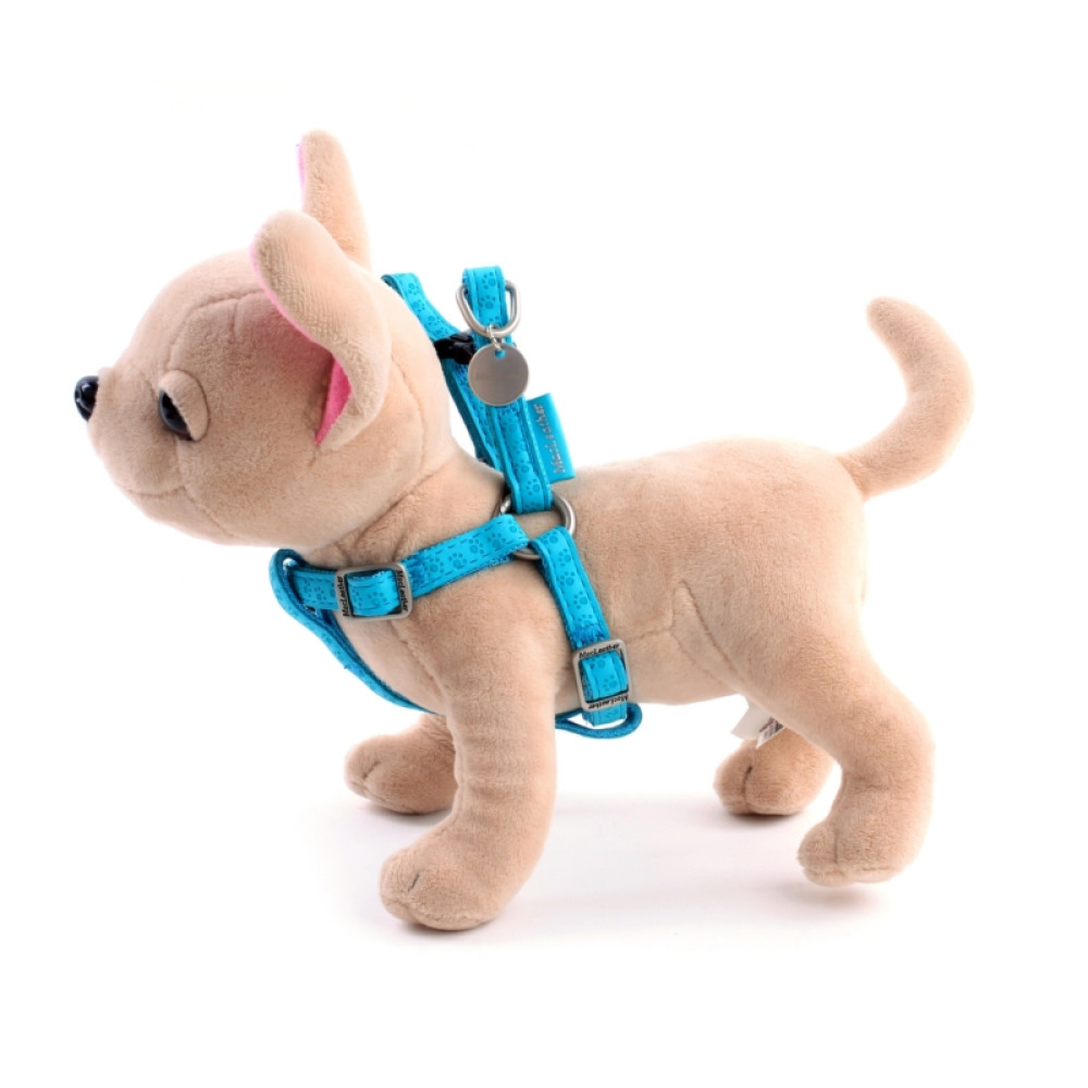 Hundegeschirr für kleine Hunde