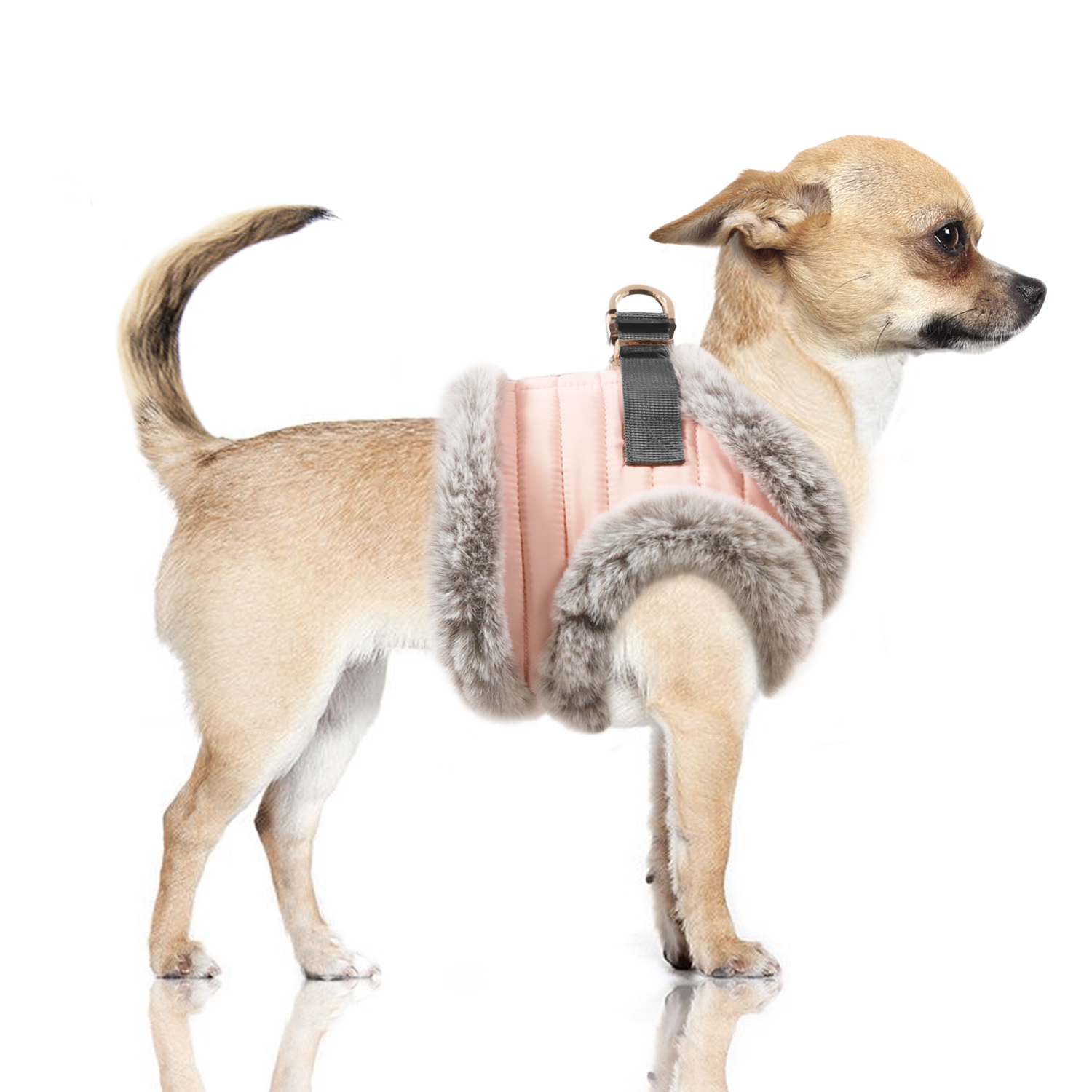 Milk&Pepper Zora Harness