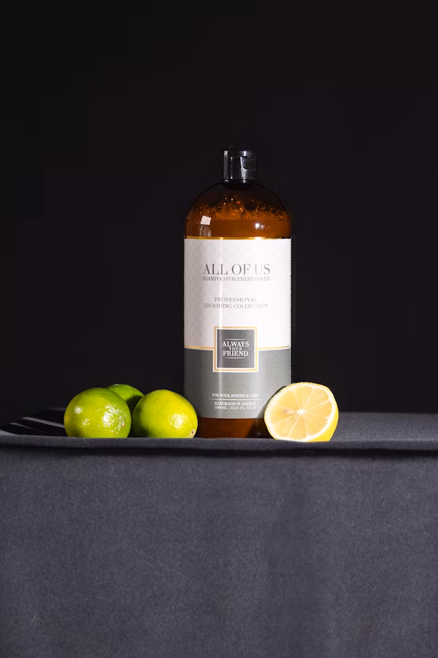 ALWAYS All Of Us Shampoo – Jede Rasse verdient das Beste (Professional Line)