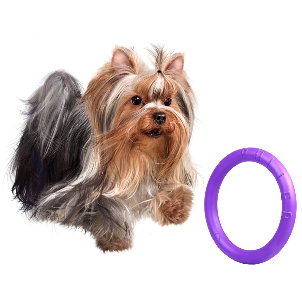 Dog Puller Micro 12,5cm 2St. -Trainingsspielzeug