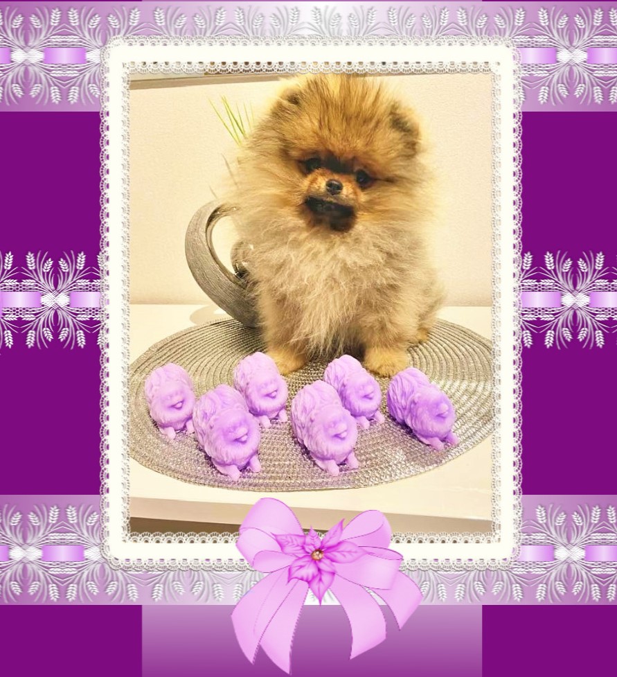 Pomeranianfigur aus Seife