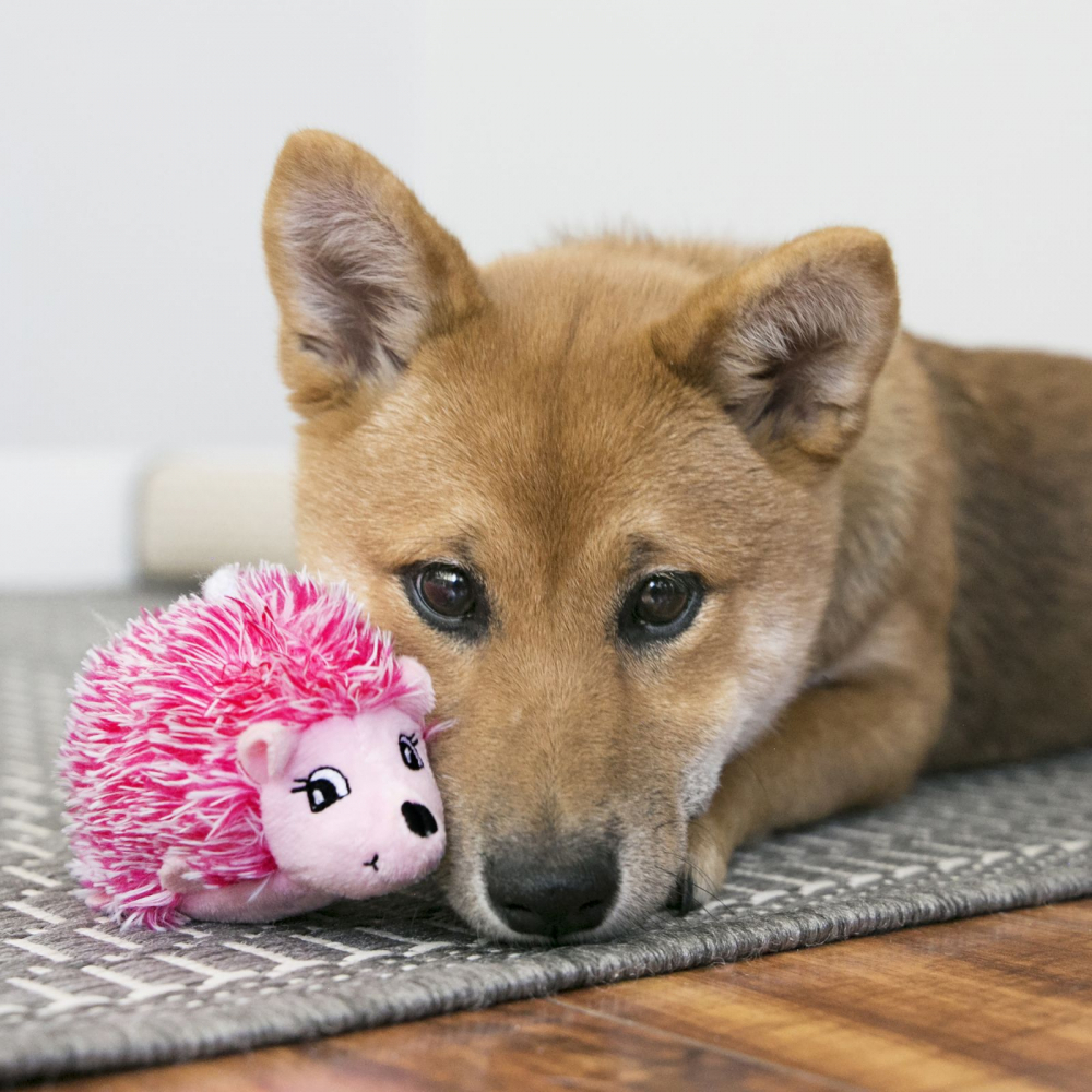 KONG Comfort HedgeHug Puppy rosa