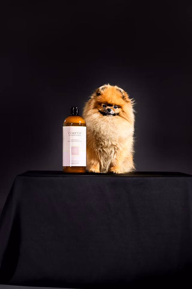 ALWAYS Coat Up Shampoo – Volumenverstärkende Formel (Professional Line)