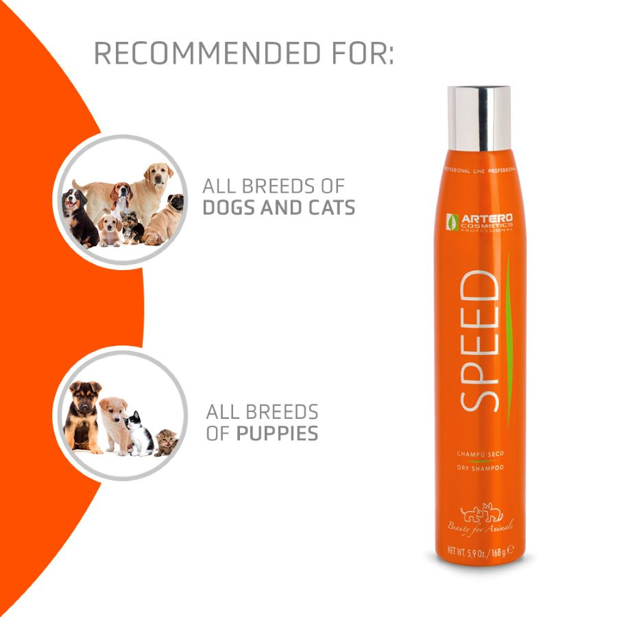 ARTERO® Trockenshampoo-Spray "SPEED" 300 ml