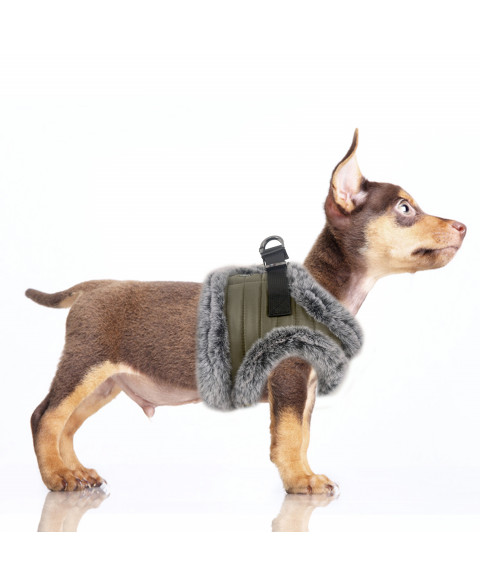 Milk & Pepper Felix Harness