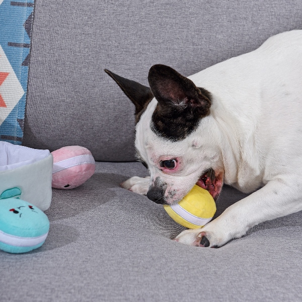 Pooch Sweets – Macarons