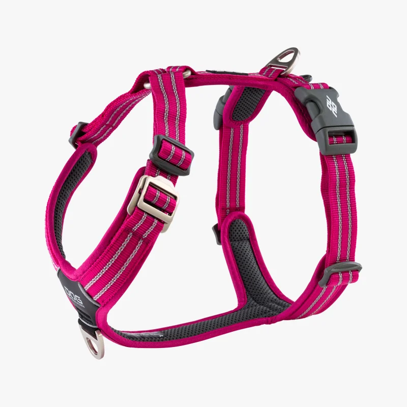 Dog Copenhagen Walk Air V2 Hundegeschirr  Wild Rose  Gr. M