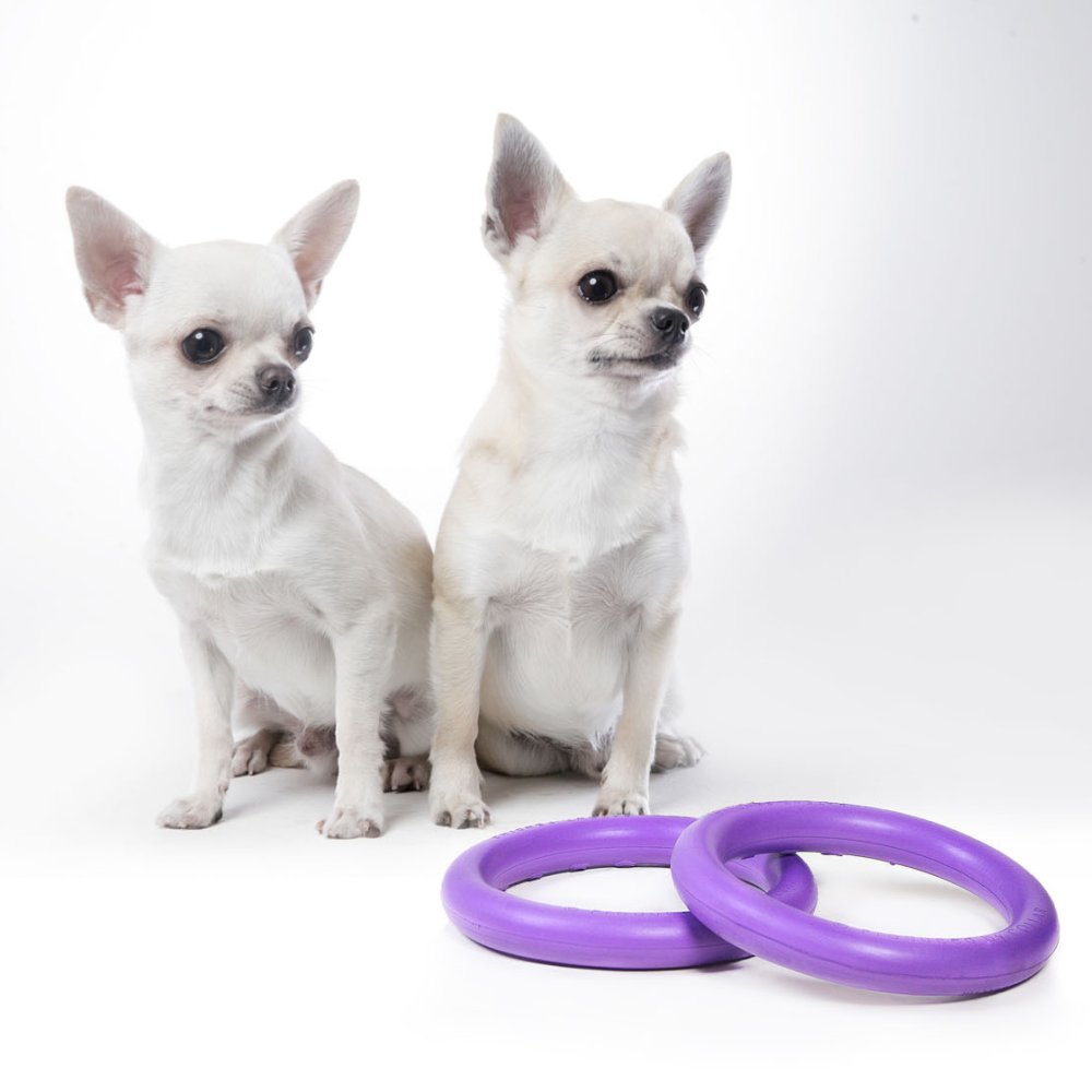 Dog Puller Micro 12,5cm 2St. -Trainingsspielzeug