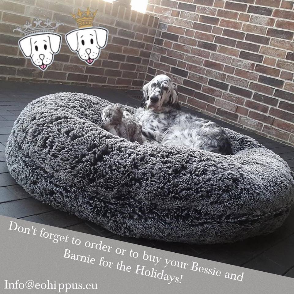 Bessie + Barnie Bagel " Siberian grey "