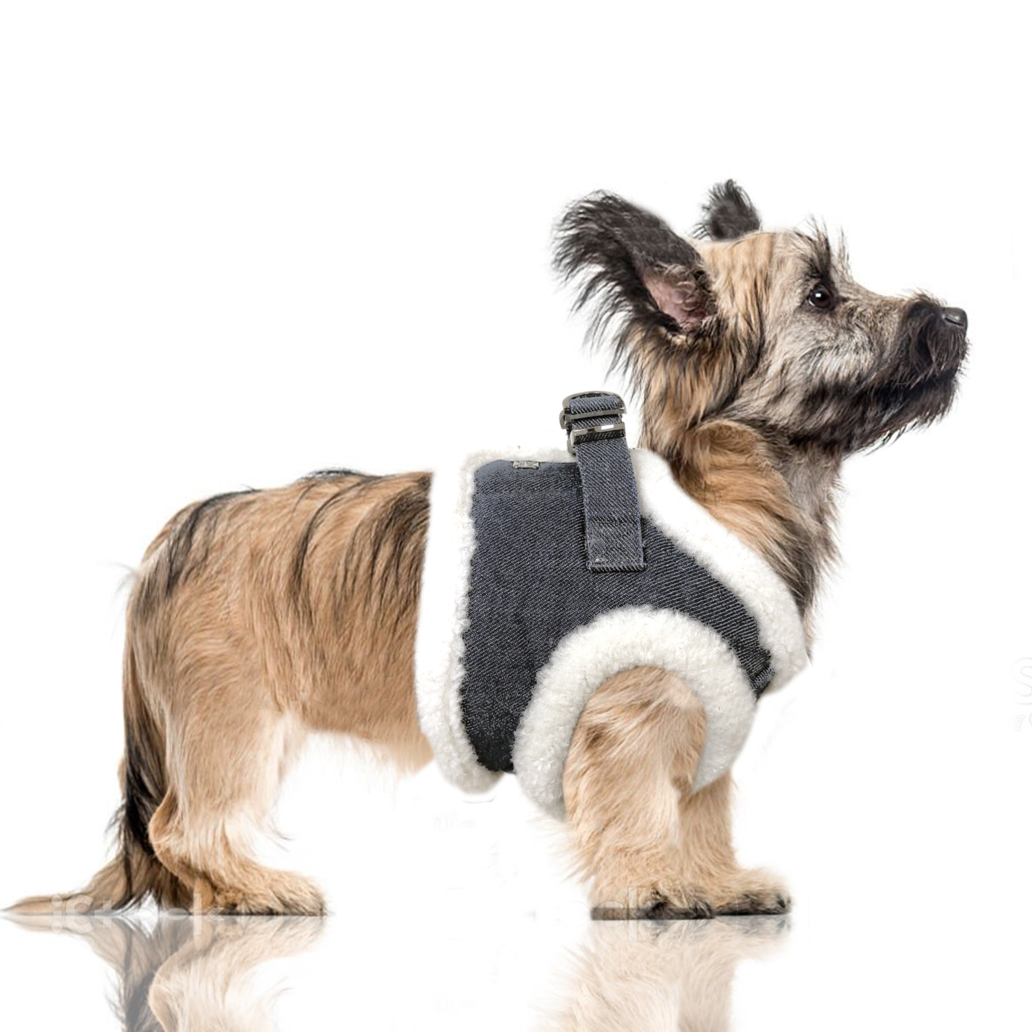 Milk&Pepper Tyler Harness