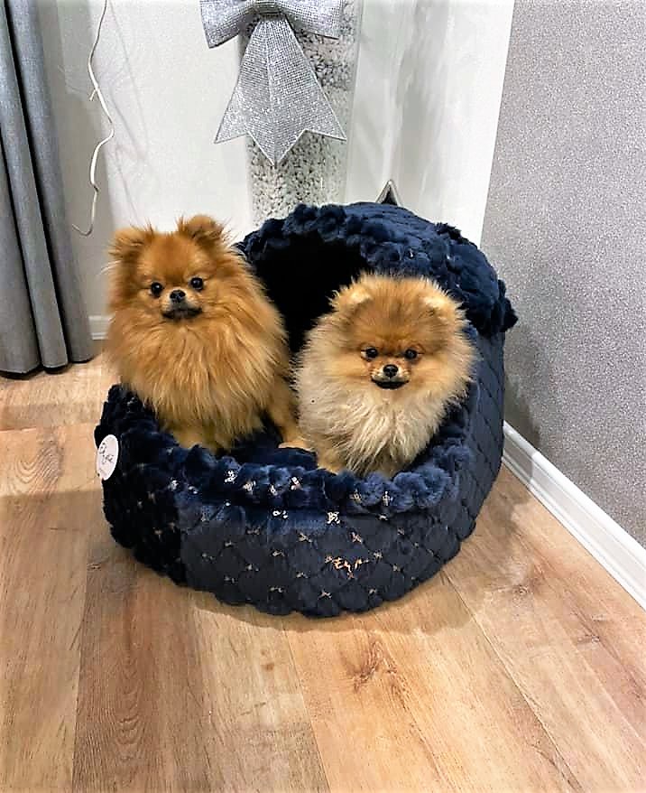 Eh Gia' Igloo " Royal "