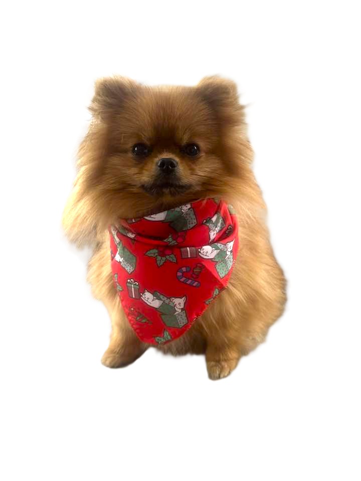 Bandana mit Weihnachtsmotiv