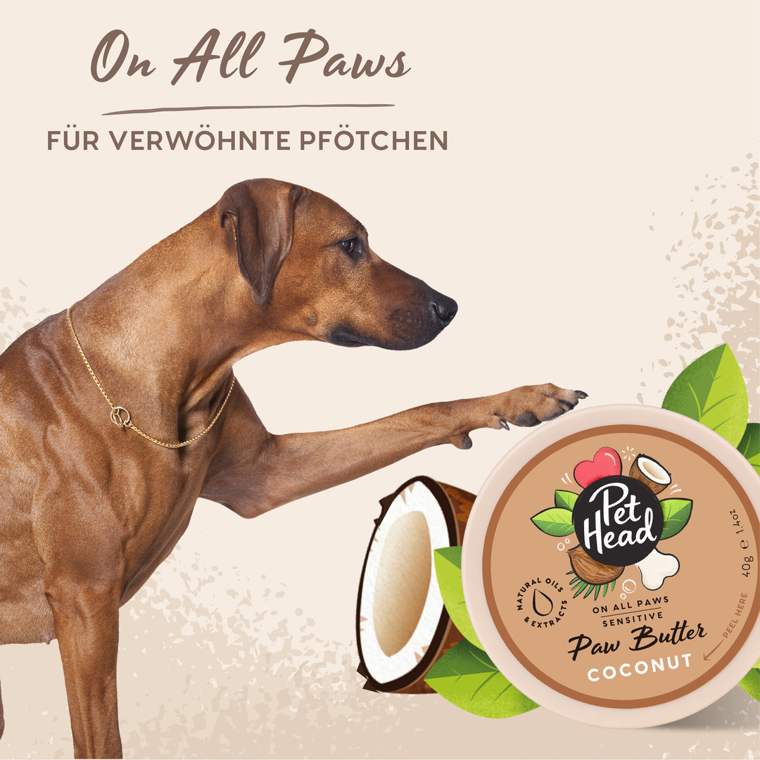 Pet Head On All Paws Coconut Paw Butter 40g