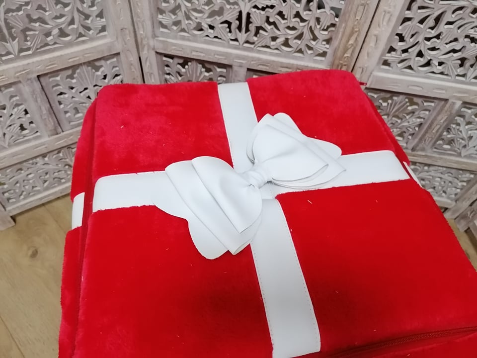 Hundehaus " Geschenk "