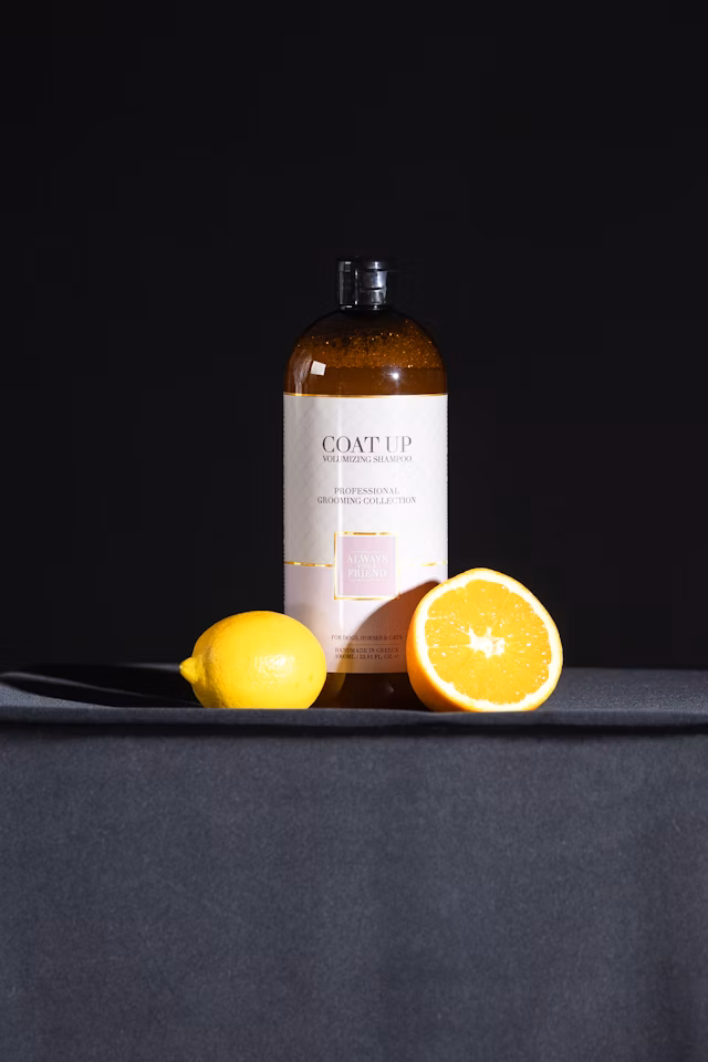ALWAYS Coat Up Shampoo – Volumenverstärkende Formel (Professional Line)