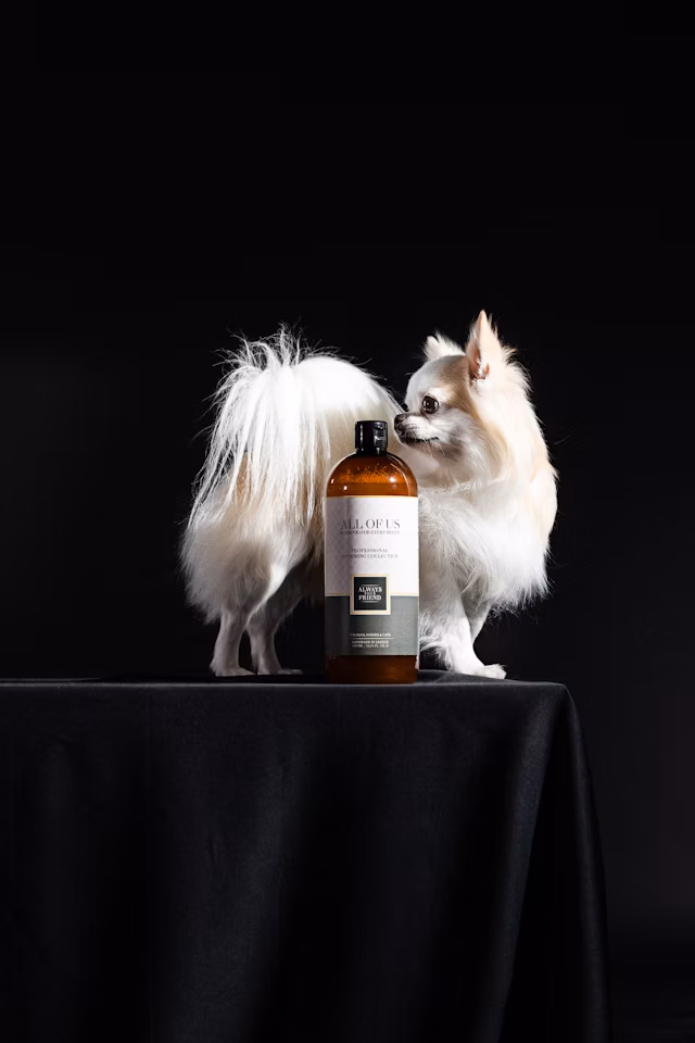 ALWAYS All Of Us Shampoo – Jede Rasse verdient das Beste (Professional Line)