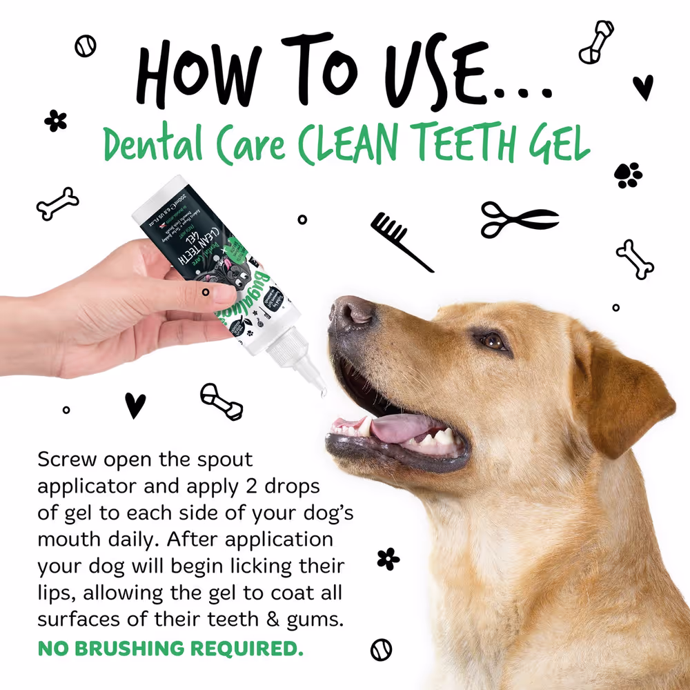 Bugalugs Dental Care Clean Teeth Gel 200 ml – Zahngel mit Minze für Hunde und Katzen ohne Zähneputzen