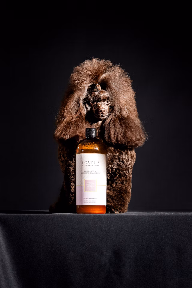 ALWAYS Coat Up Shampoo – Volumenverstärkende Formel (Professional Line)