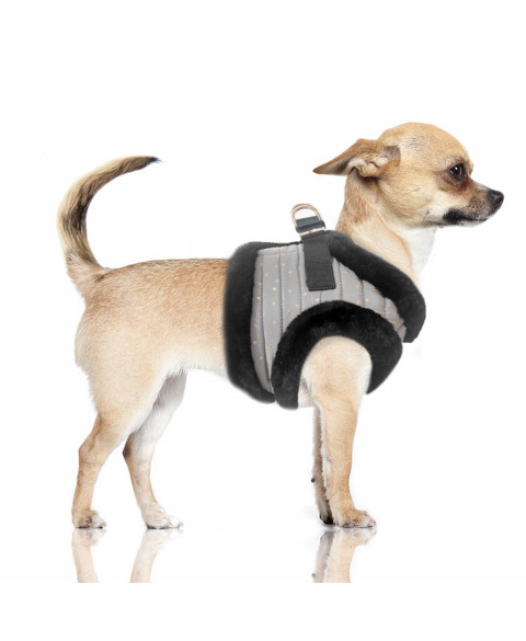 Milk & Pepper Marika Harness