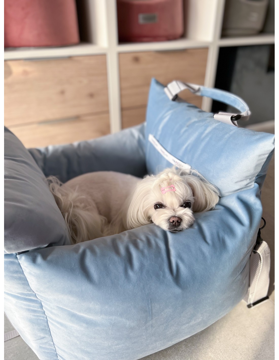 Autositz  3 in 1 Comfy Baby blau