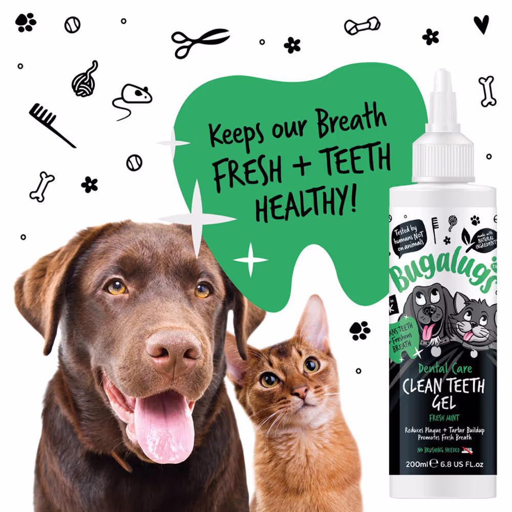 Bugalugs Dental Care Clean Teeth Gel 200 ml – Zahngel mit Minze für Hunde und Katzen ohne Zähneputzen