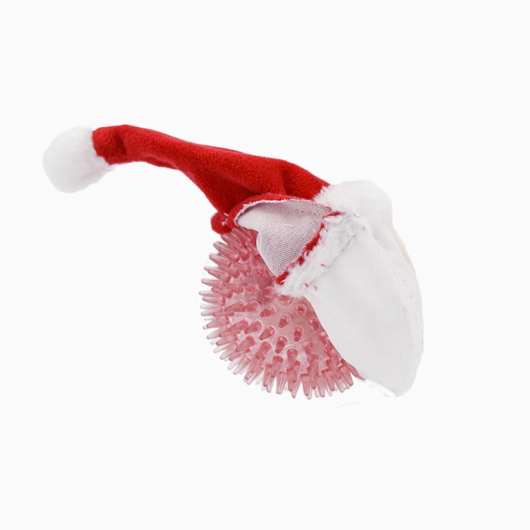 Happy Woofmas – Santa