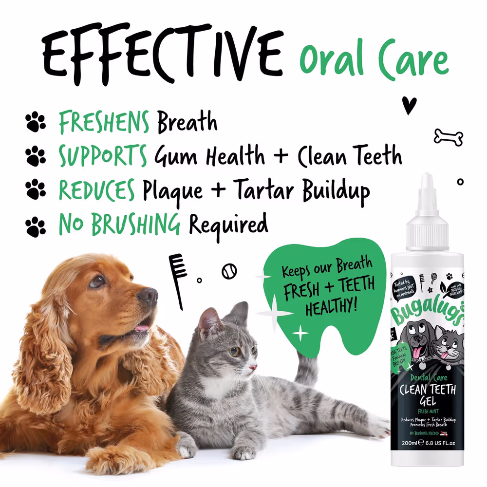 Bugalugs Dental Care Clean Teeth Gel 200 ml – Zahngel mit Minze für Hunde und Katzen ohne Zähneputzen