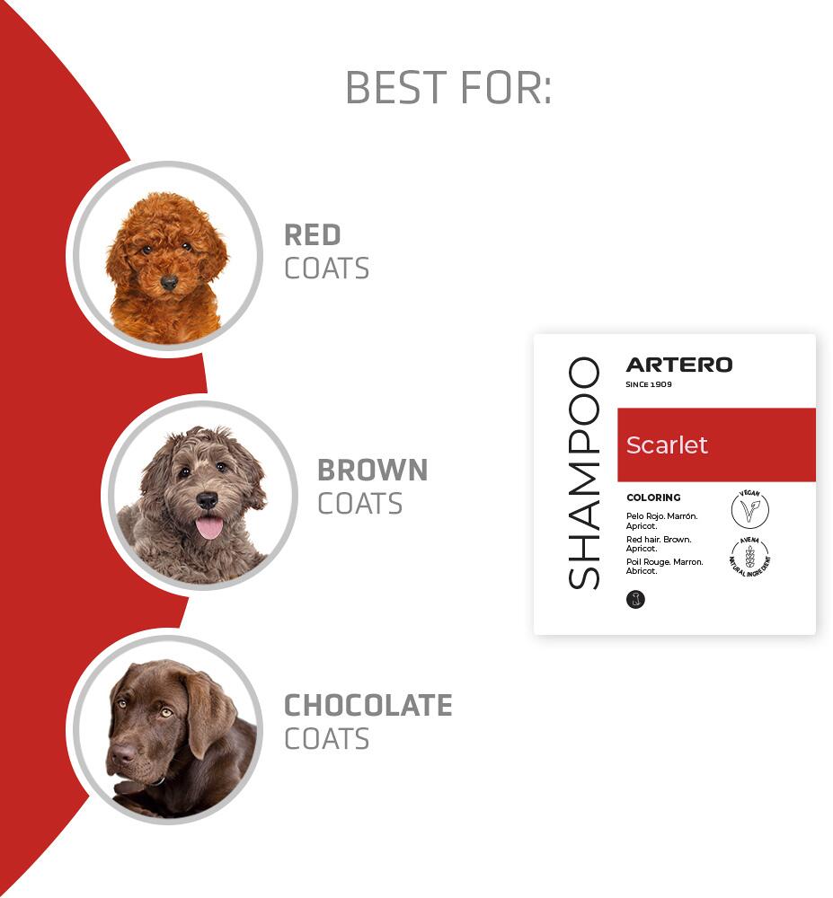 ARTERO® Farbauffrischendes Hundeshampoo "SCARLET" für rot-braune Fellfarben