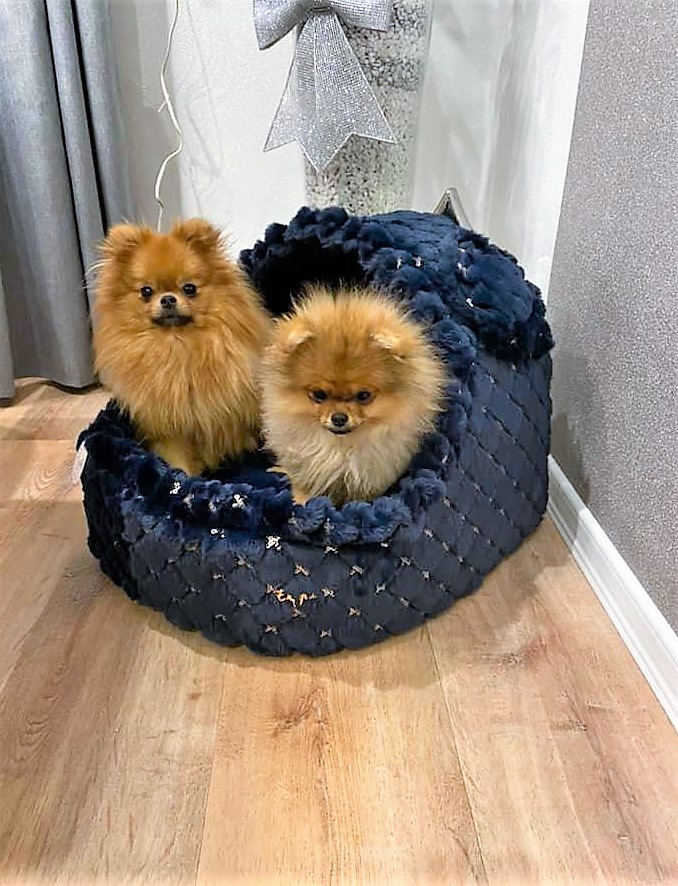 Eh Gia' Igloo " Royal "