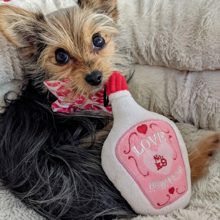 Lulubelles Power Plush Love Pawtion No K9 Small