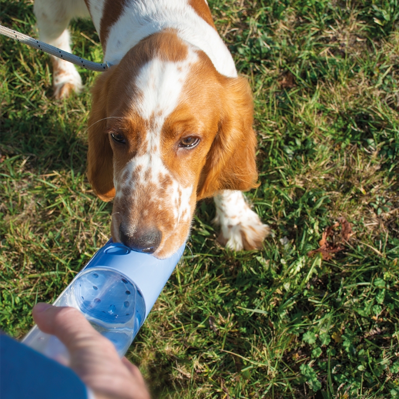 Duvoplus Wasserflasche für Unterwegs 450ml