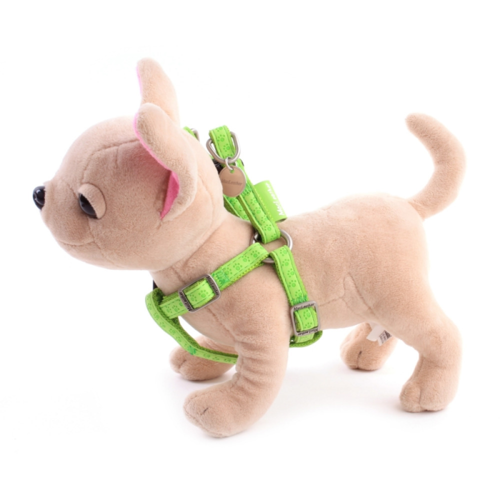 Hundegeschirr für kleine Hunde
