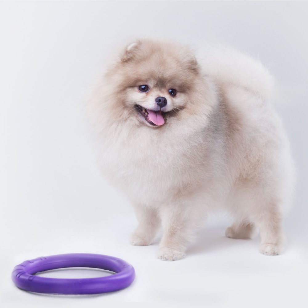 Dog Puller Micro 12,5cm 2St. -Trainingsspielzeug