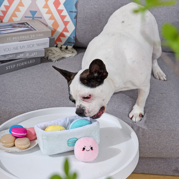 Pooch Sweets – Macarons