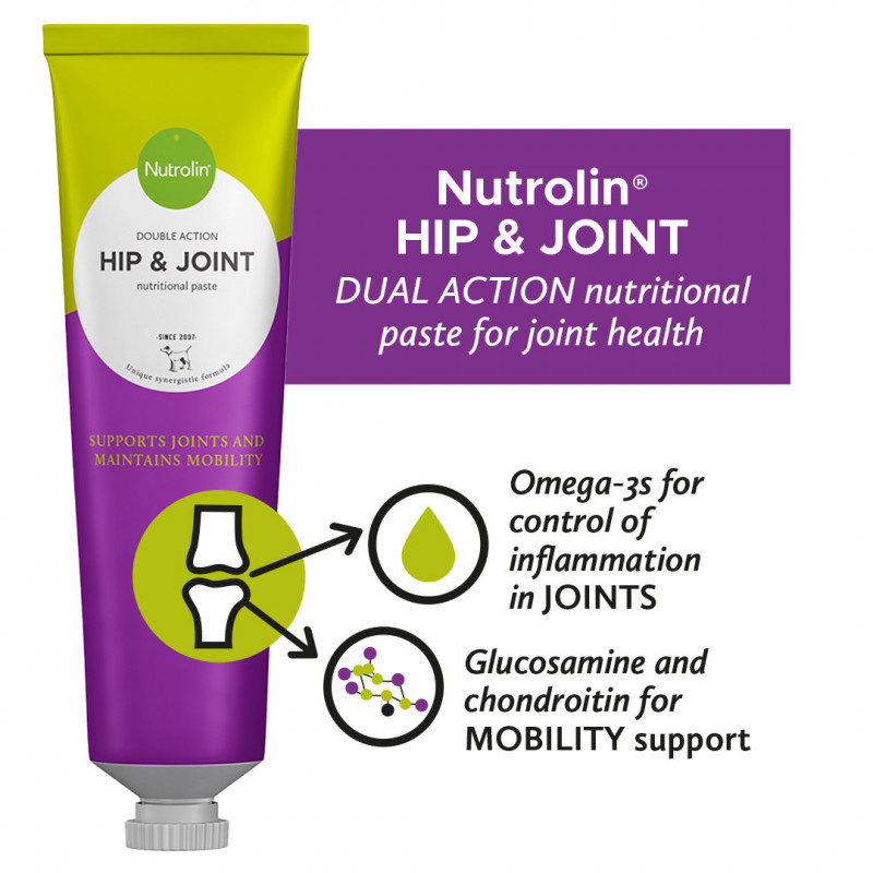 Nutrolin®  Hip & Joint  Pasta  600 g
